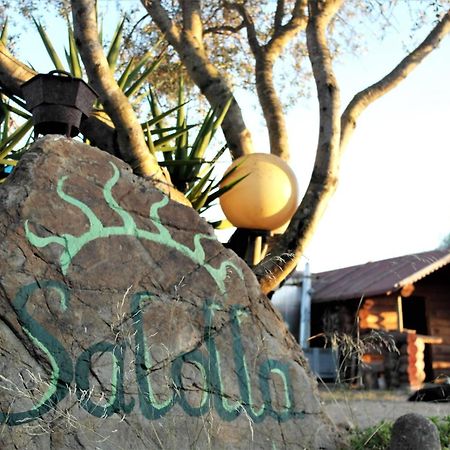 Salolla Siliqua Exterior foto